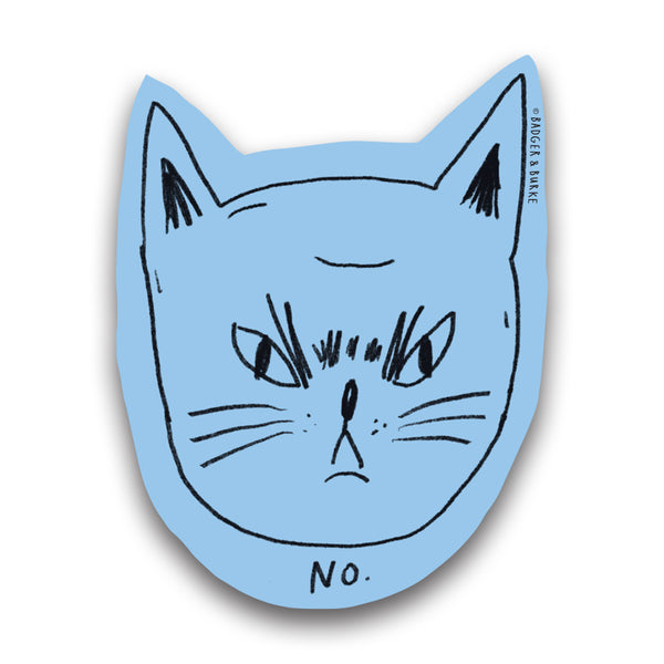 a blue sticker featuring a grumpy cat's face and the handwritten text "NO"